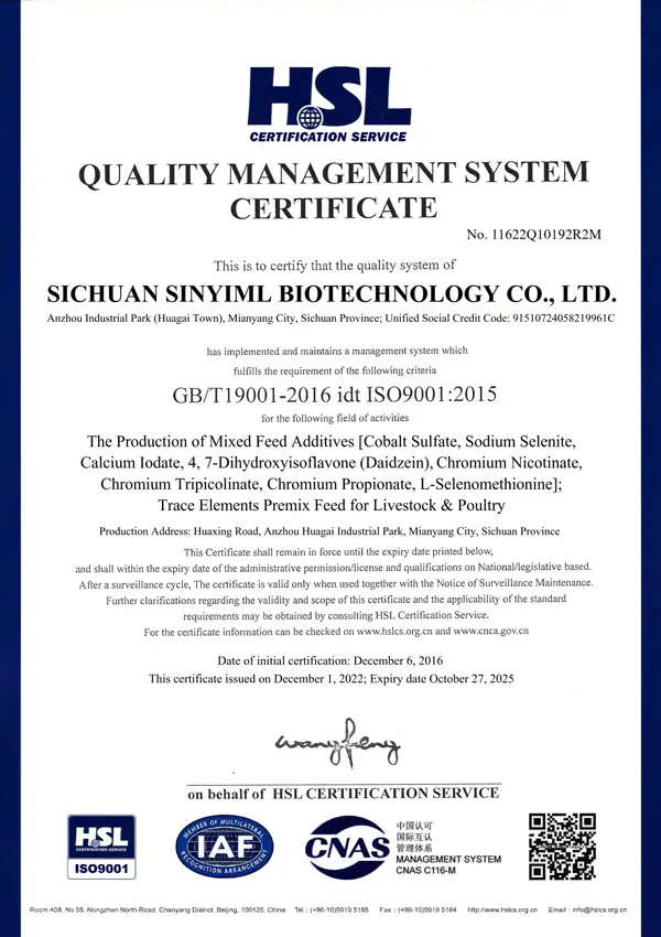 iso9001-en
